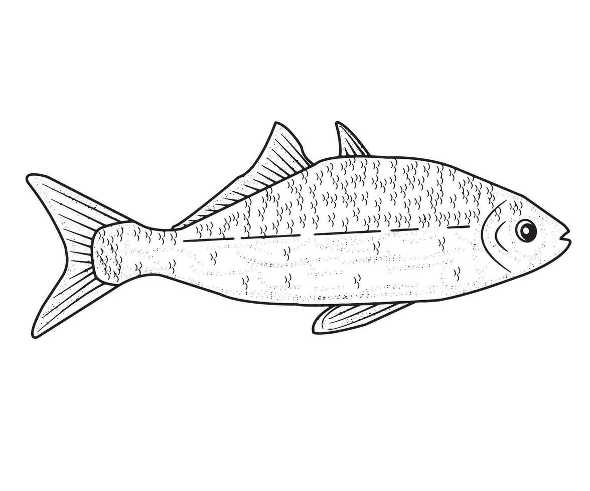 pesce vettore, pesce nero e bianca, colorazione pagine vettore