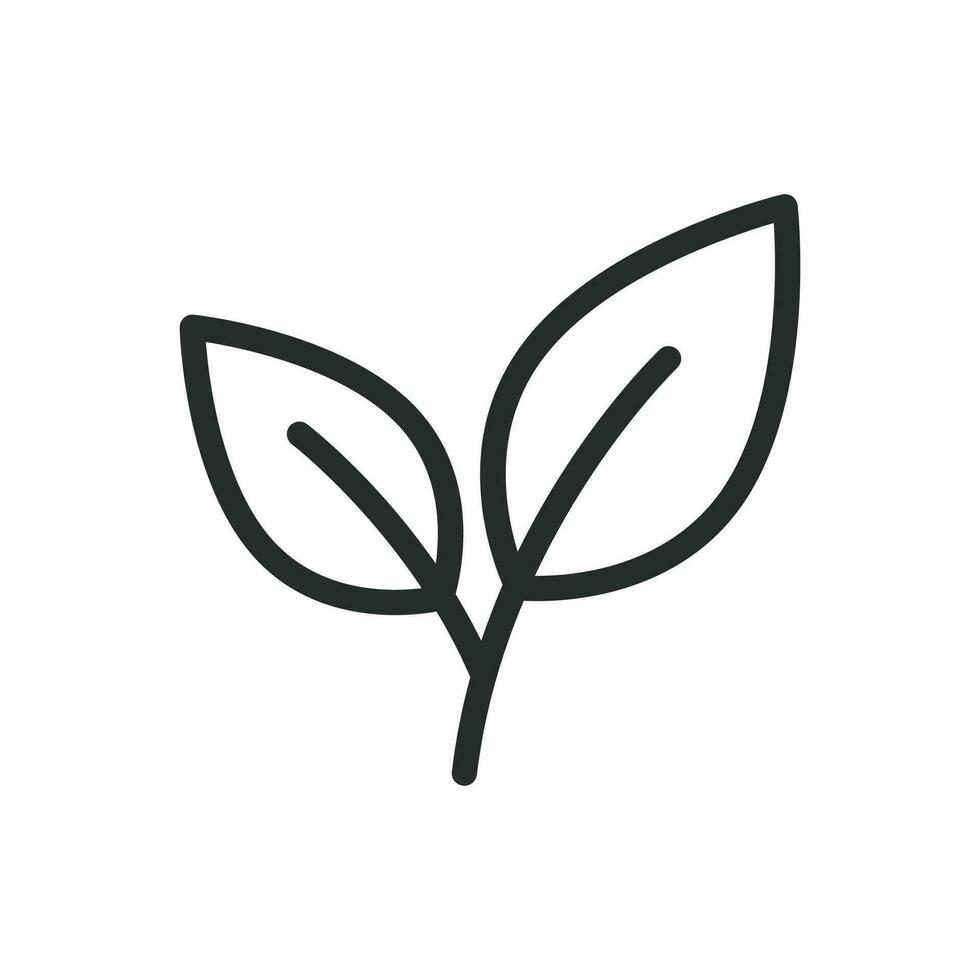 foglia icona vettore design illustrazione natura simbolo