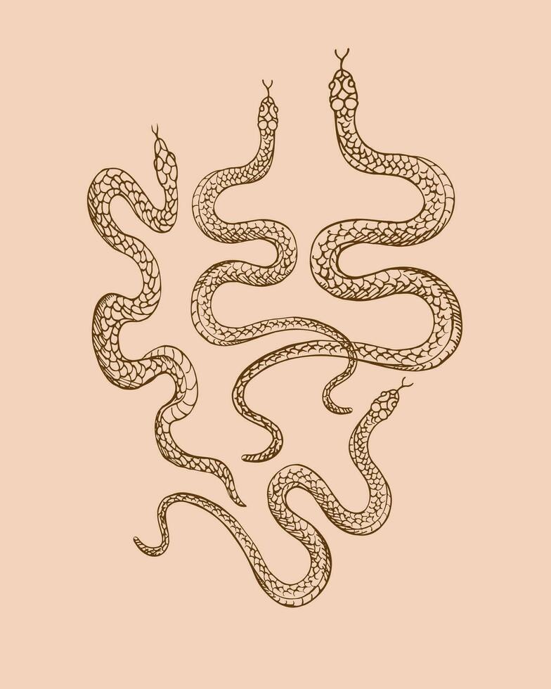 serpenti animale vettore illustrazione mano disegnato su isolato sfondo. design elemento serpente per modello, etichetta, Stampa, oroscopo, t-shot, tatuaggio, logo. decorativo ornamento fondale con animali
