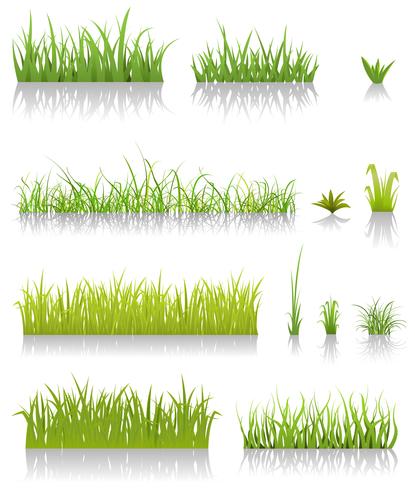 Set di erba verde vettore