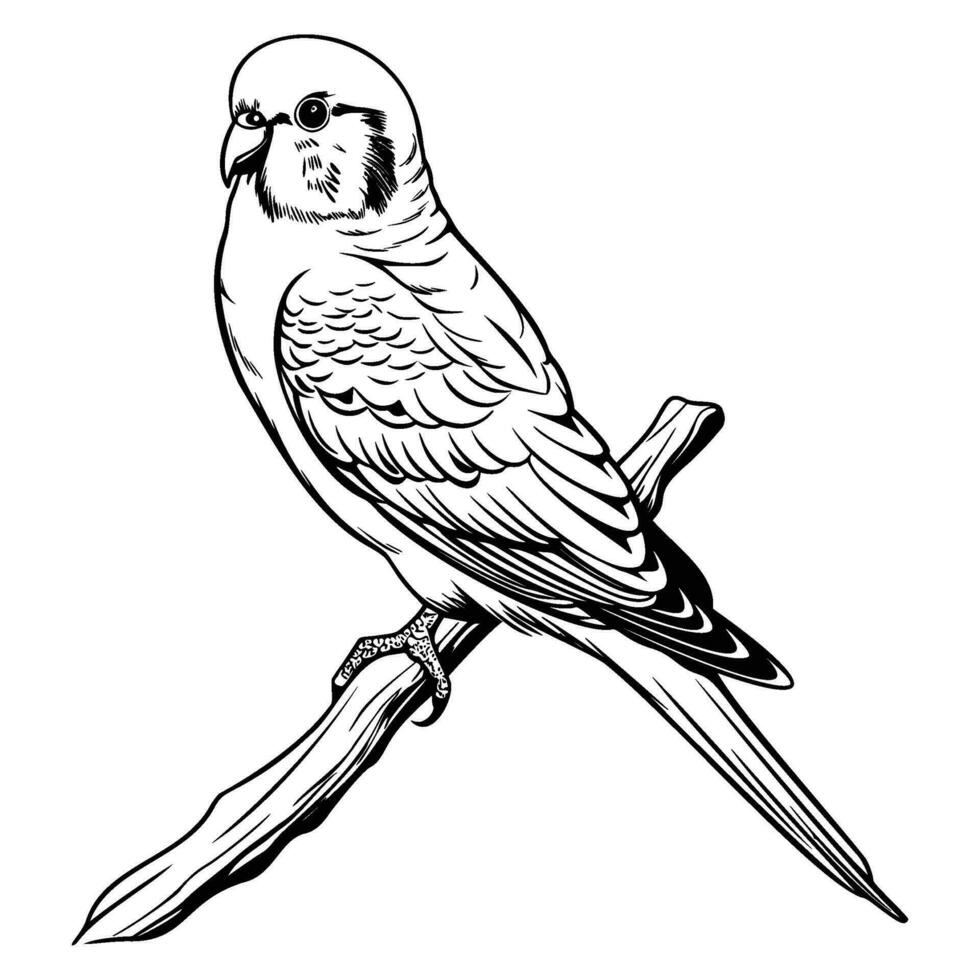 pappagallino ondulato silhouette, pappagallino ondulato portafortuna logo, pappagallino ondulato nero e bianca animale simbolo disegno, uccello icona. vettore