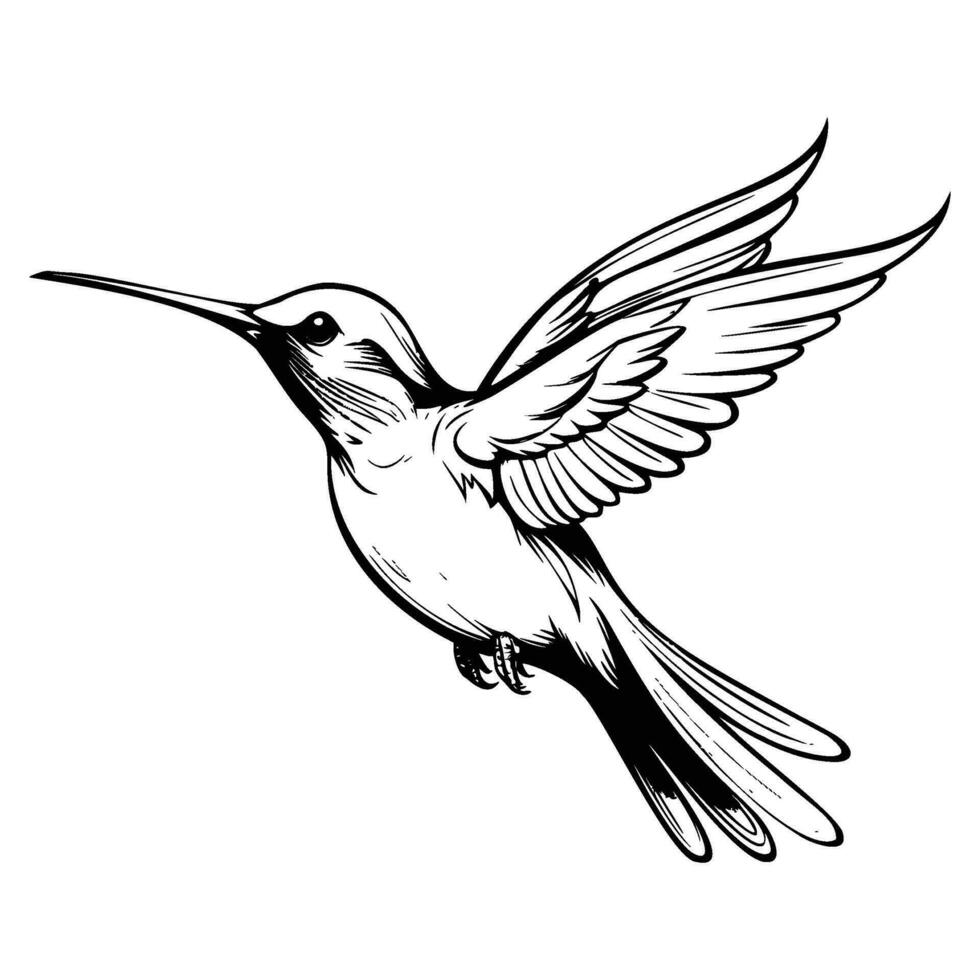 colibrì silhouette, colibrì portafortuna logo, colibrì nero e bianca animale simbolo disegno, uccello icona. vettore