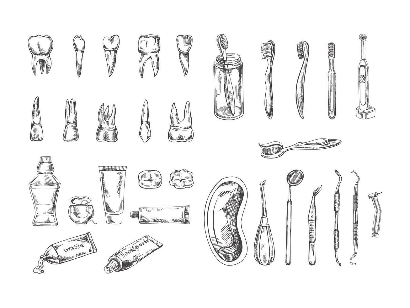 stomatologia mano disegnato impostare. mal di denti trattamento. denti schizzo. diverso tipi di umano dente. spazzolini da denti e paste. dentale cura, dentale strumenti. vettore