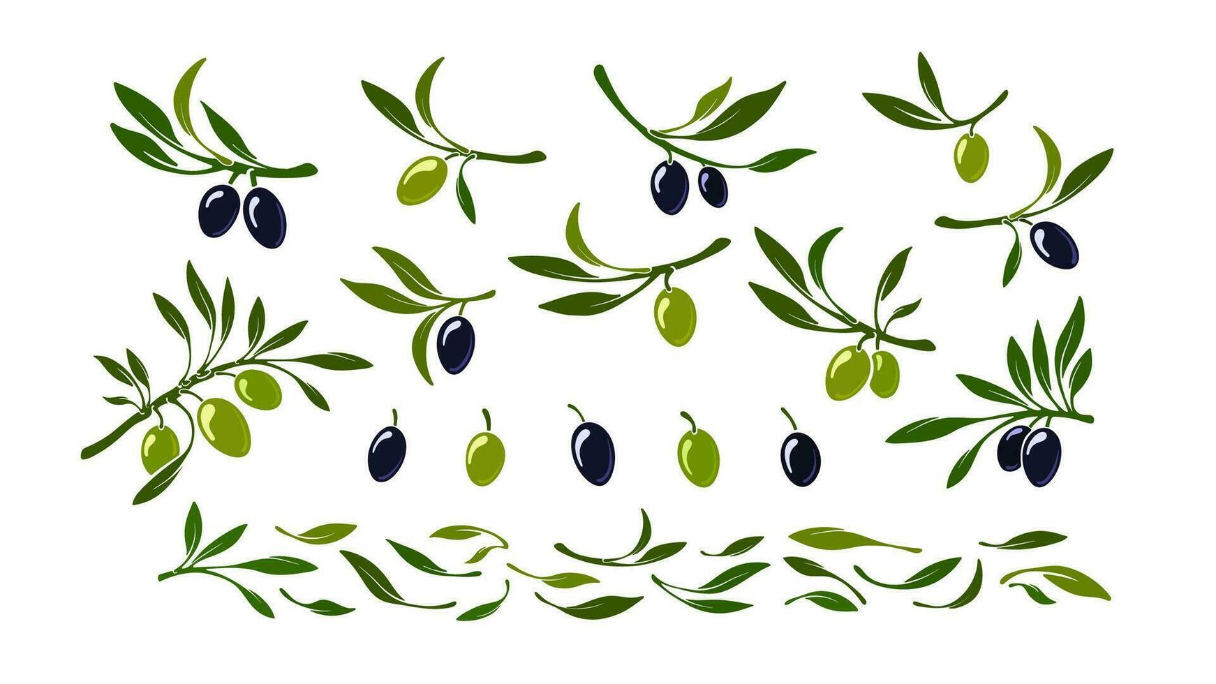 impostato di olive. vettore nero e verde macro frutta