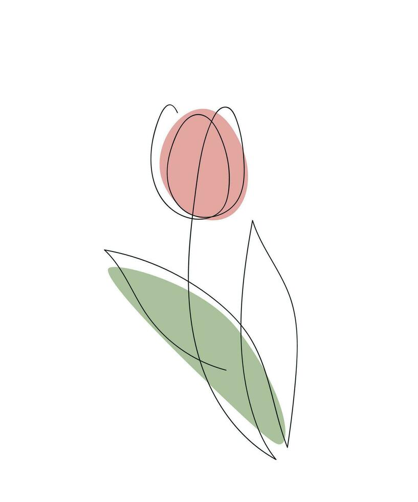 tulipano. uno linea disegno, colore macchiare, minimalismo. vettore illustrazione.