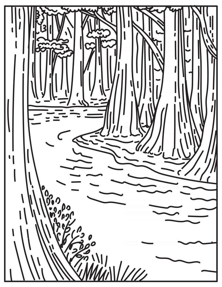 Un vecchio fondo di crescita foresta di latifoglie nel parco nazionale di Congaree nel centro della Carolina del Sud degli Stati Uniti linea mono o monoline in bianco e nero line art vettore