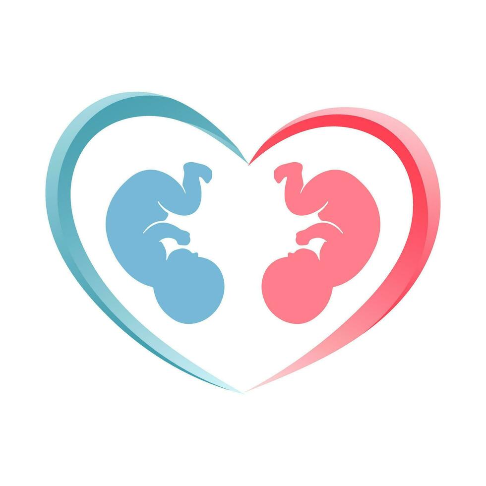 rosa e blu simbolo di un' neonato feto nel un' cuore. neonato icona, etichetta, cartolina, vettore