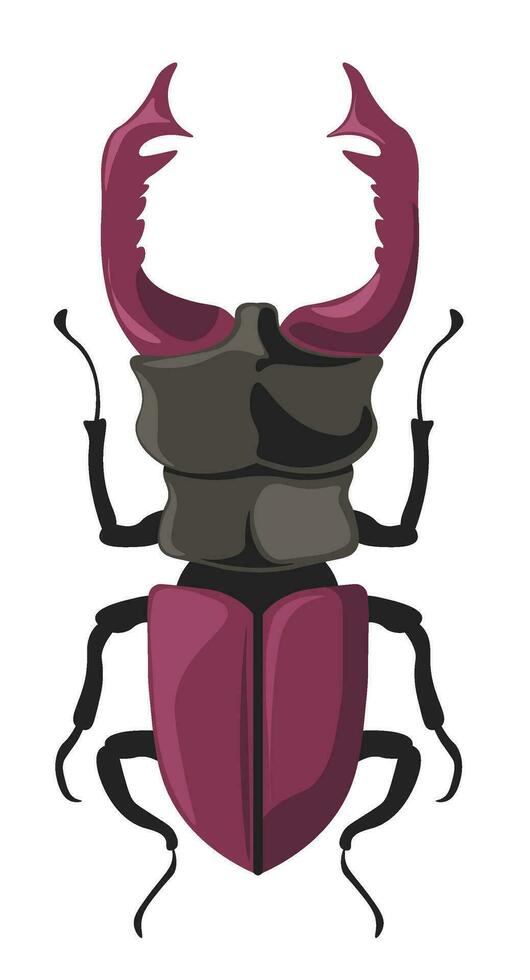 insetto cervo scarafaggio a partire dal lucanidae famiglia, vettore