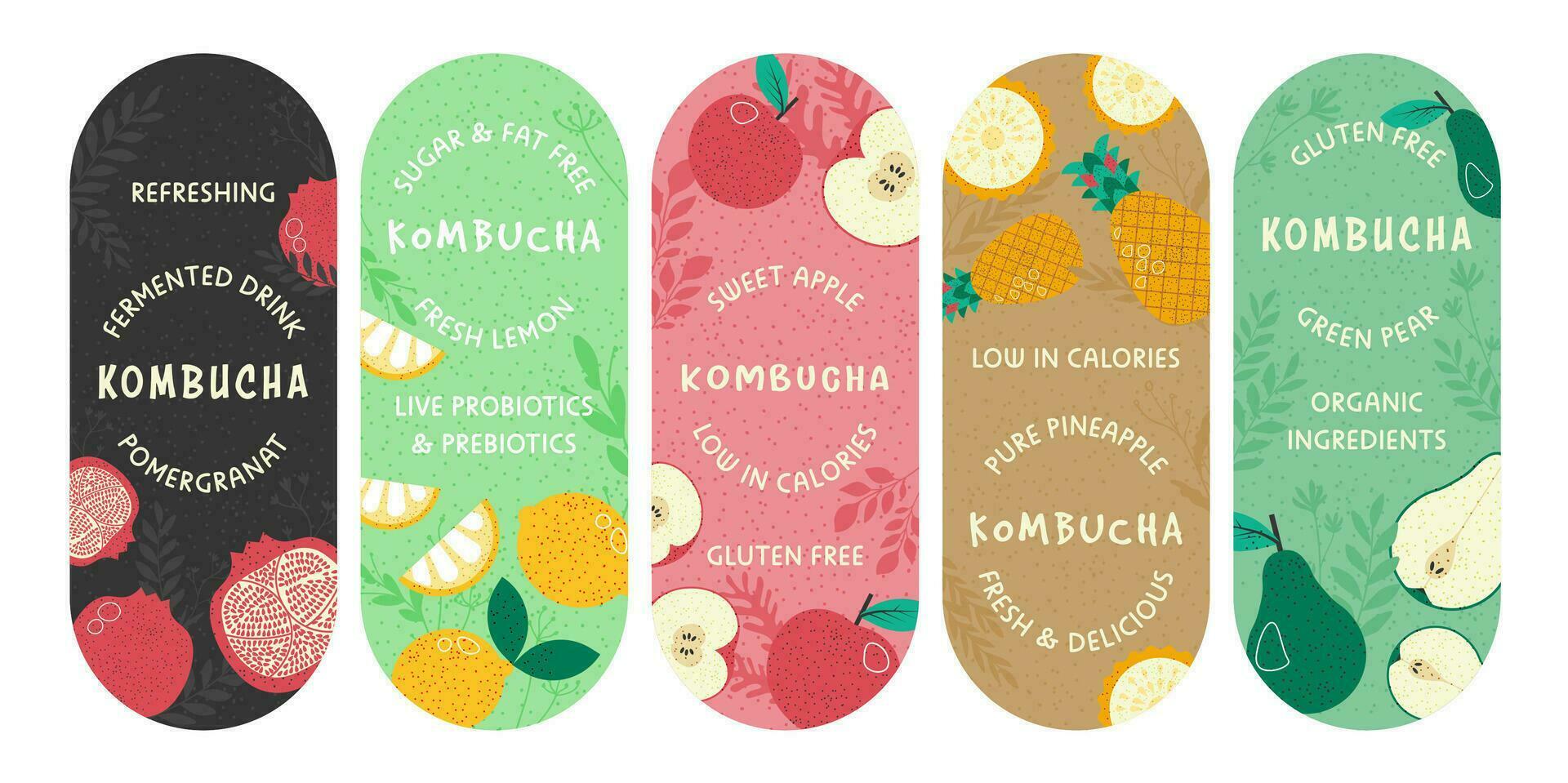 colorato emblema impostato per kombucha pacchetto design vettore