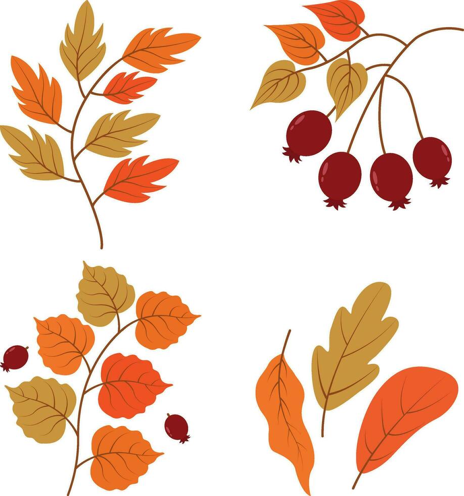 autunno le foglie. collezione di colorato caduta autunno le foglie isolato su bianca sfondo. vettore illustrazione.