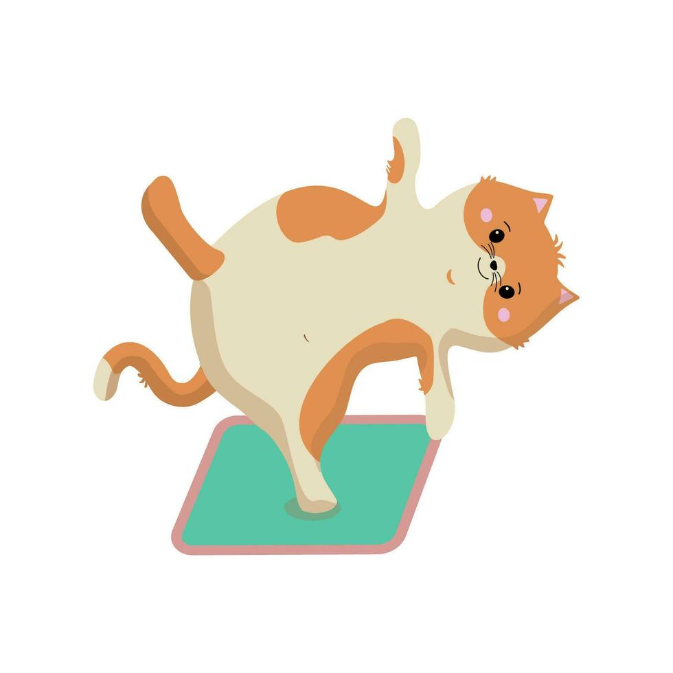 cartone animato rosso gattino va nel per gli sport. gatto su un' yoga stuoia. gli sport addestramento, yoga. vettore illustrazione su un' bianca isolato sfondo.