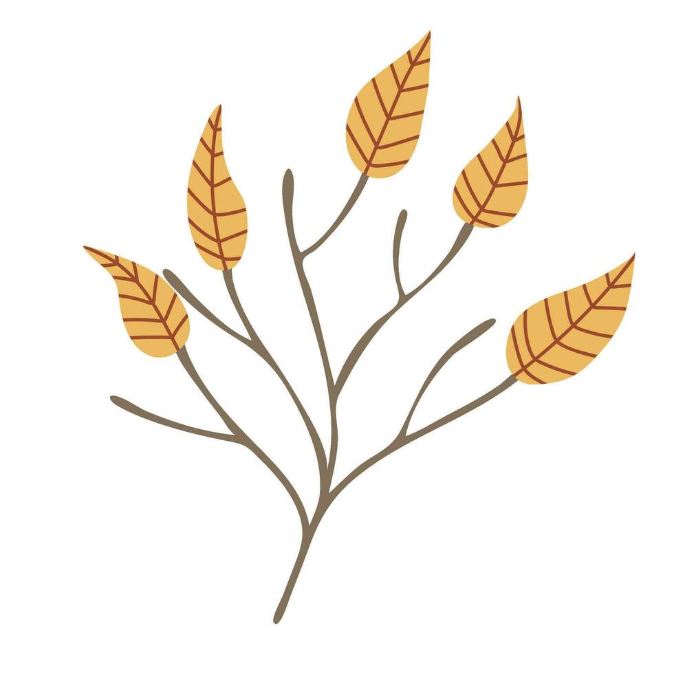 semplice autunno ramoscello con le foglie. mano disegnato elemento per autunno decorativo disegno, Halloween invito vettore