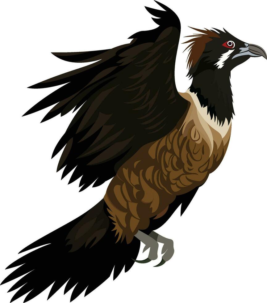 gipeto avvoltoio vettore Immagine , nazionale uccello di andorra , il barbuto avvoltoio , gipeto barbatus ,ossifraga piatto stile vettore illustrazione