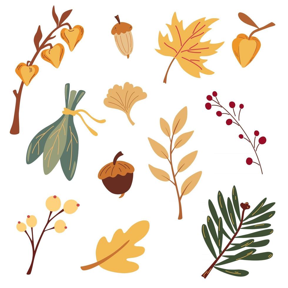 collezione botanica autunnale. rami, foglie, erbe, funghi e ghiande. disegno grafico floreale. utile per tessuti, inviti, carta da regalo e sfondi autunnali. illustrazione di cartone animato vettoriale