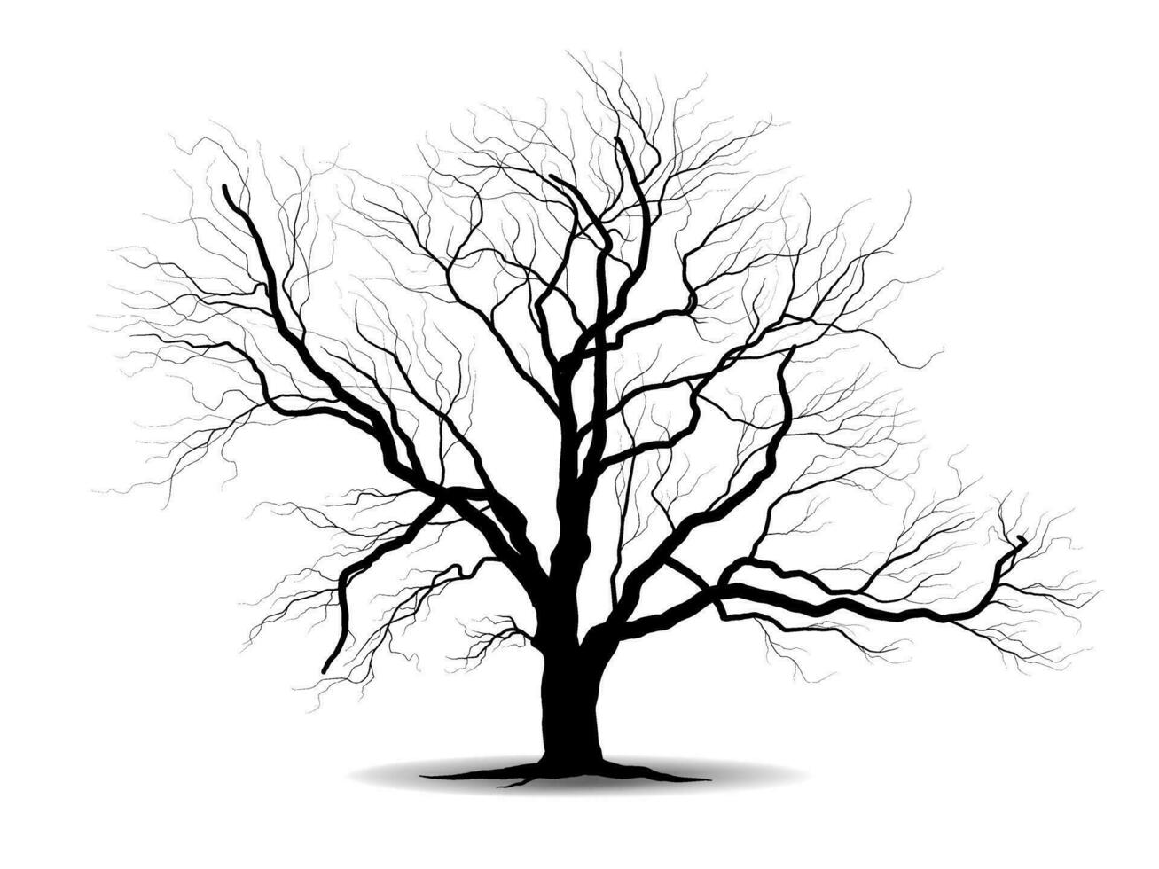 nero ramo albero o nudo alberi sagome. mano disegnato isolato illustrazioni. vettore