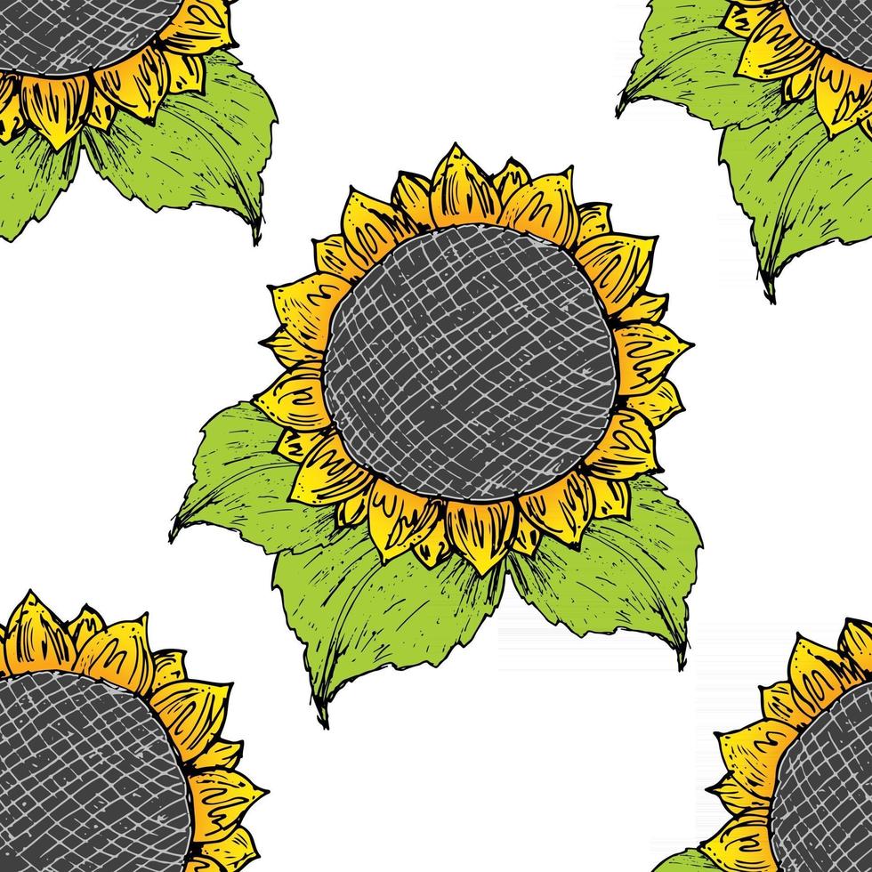 schizzo disegnato a mano del modello senza cuciture del girasole, fondo, illustrazione di vettore di progettazione di tipografia