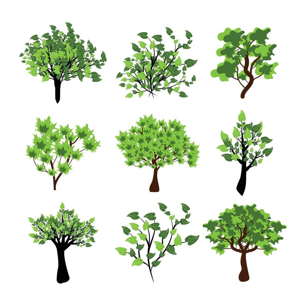 verde alberi vettore illustrazione impostare. impostato di varietà impianti e alberi. alberi collezione nel mano disegnato