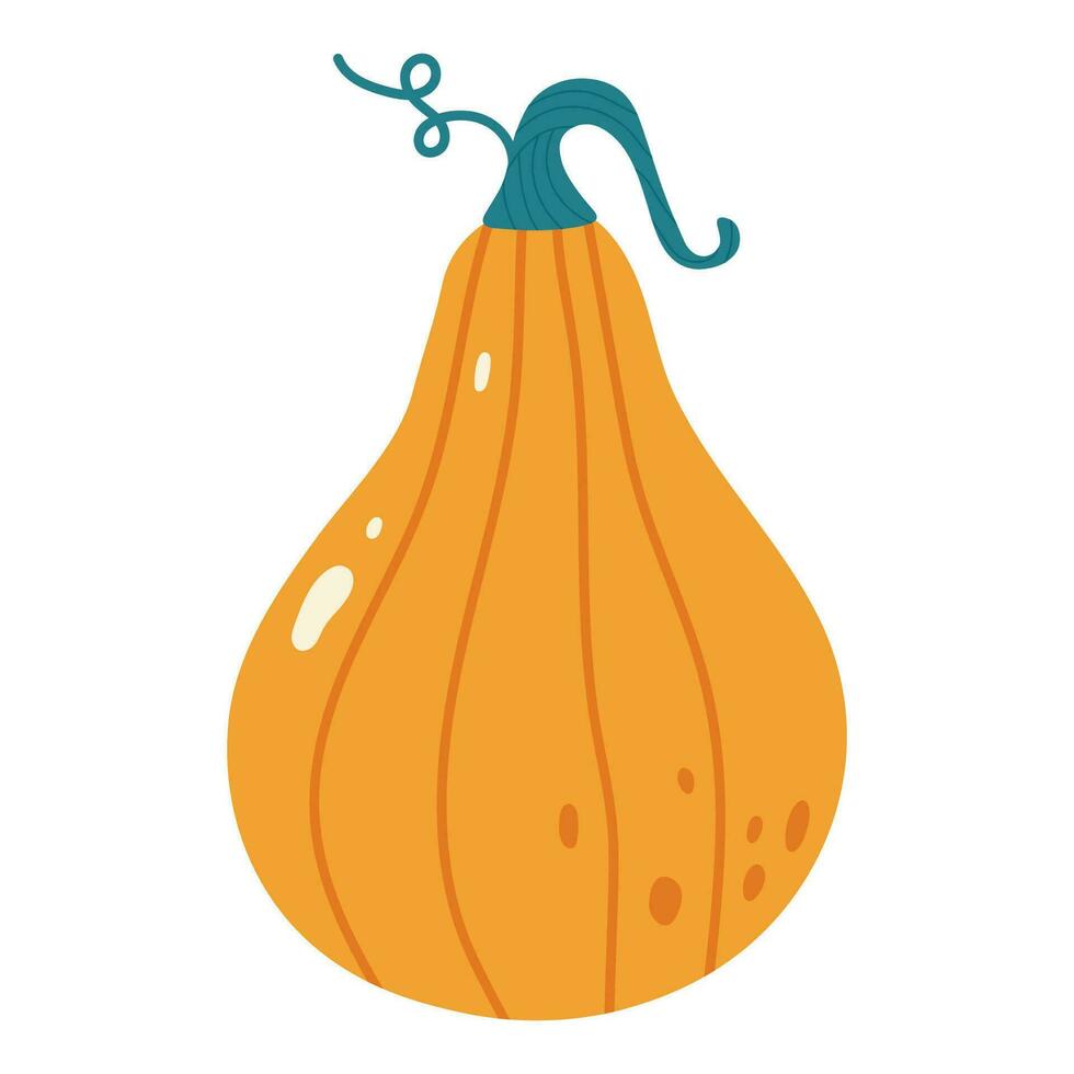 carino zucca verdura cartone animato illustrazione. Ciao autunno autunno stagione. elementi per autunno decorativo disegno, Halloween invito, raccogliere ringraziamento. mano disegno piatto vettore illustrazione