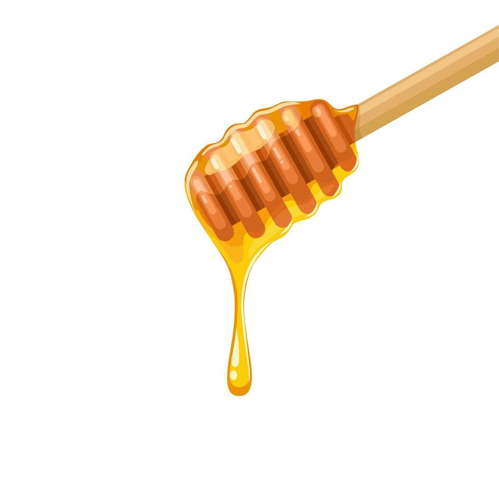 vettore illustrazione, miele bastone con gocciolante Miele, isolato su bianca sfondo.