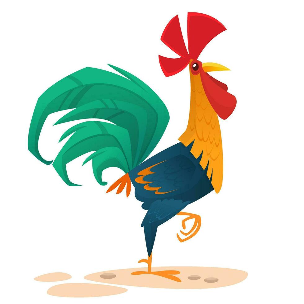 Grasso cartone animato gallo. colorato vettore illustrazione di cantando Gallo