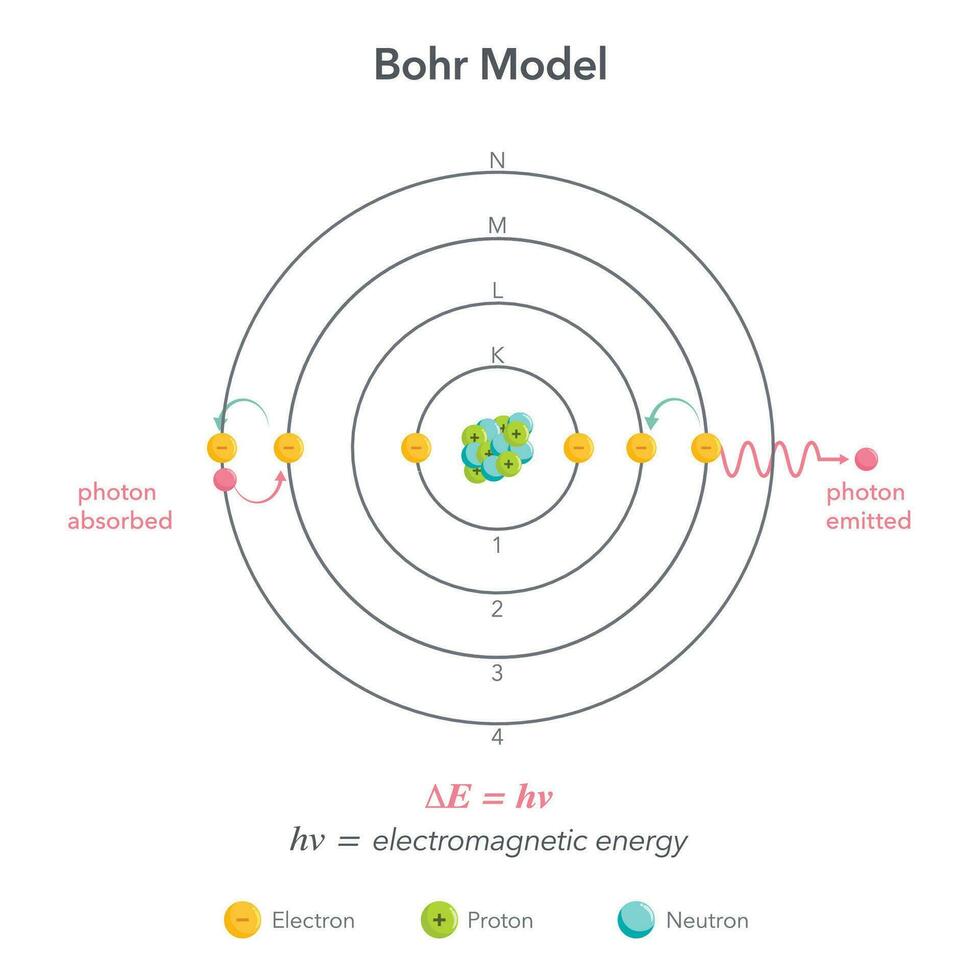 bohr modello fisica chimica atomo vettore illustrazione diagramma