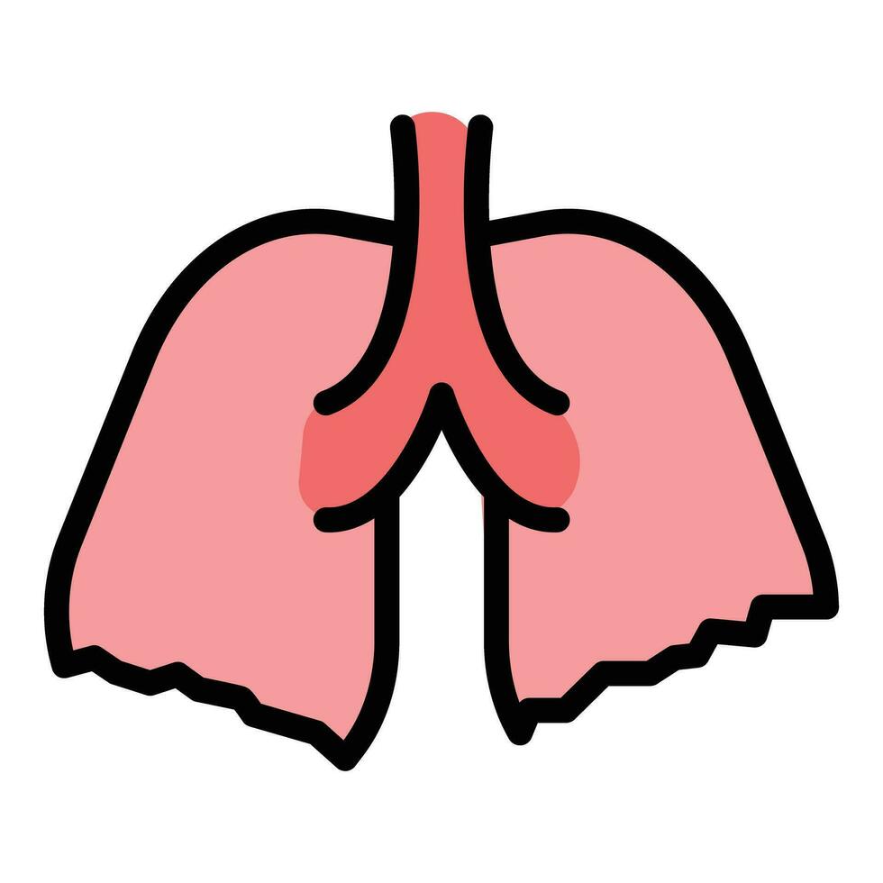 polmoni raggi X icona vettore piatto