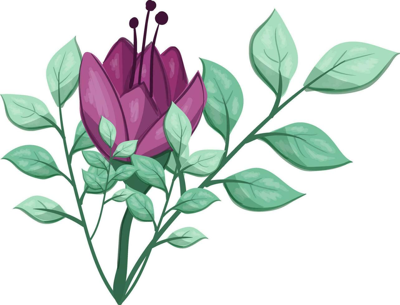 illustrazione di un' viola fiore con verde le foglie su un' bianca sfondo vettore