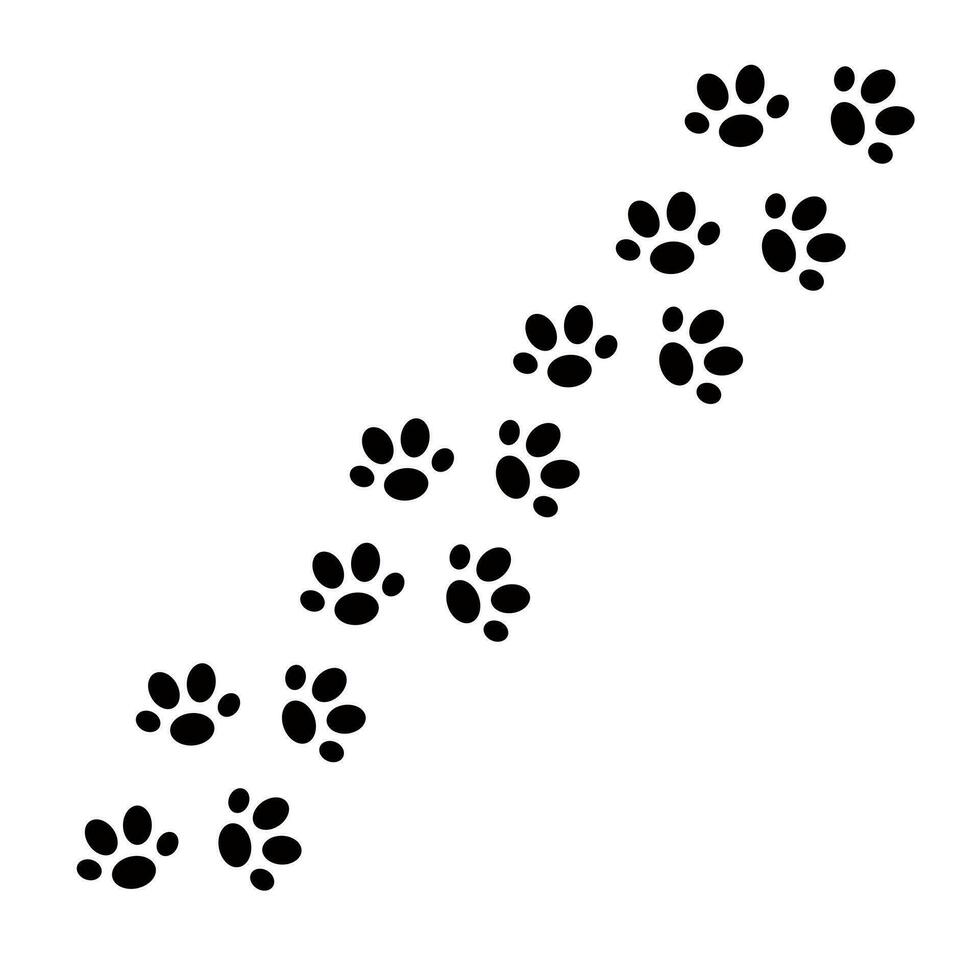 gatto animale zampa stampe sentiero semplice cartone animato vettore illustrazione, domestico animale domestico carino scarabocchio tracce accogliente casa interno concetto