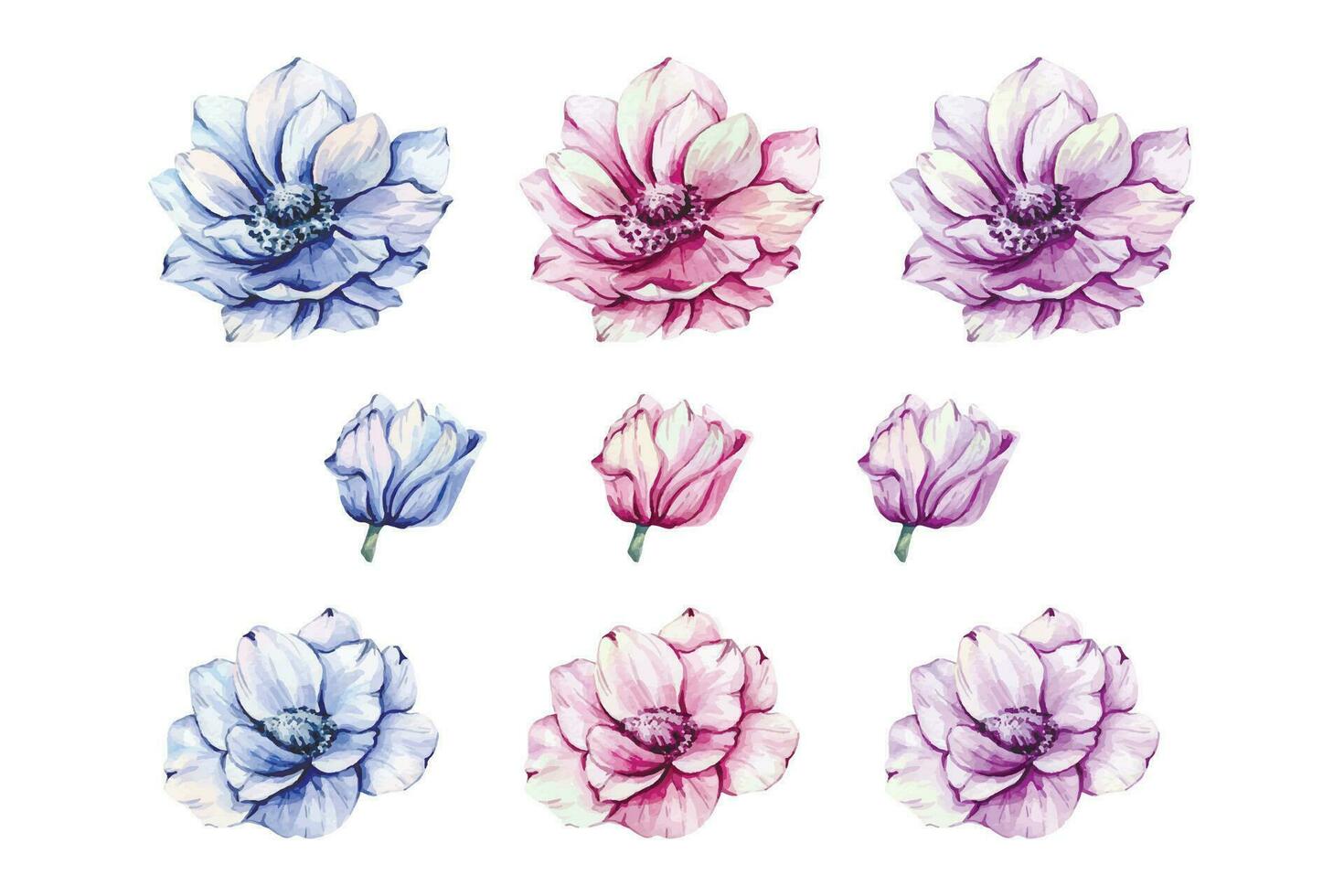 anemone fiori acquerello illustrazione. blu, rosa e viola anemoni mano dipinto isolato su bianca sfondo. Perfetto per nozze inviti, bridal doccia e floreale saluto carte vettore