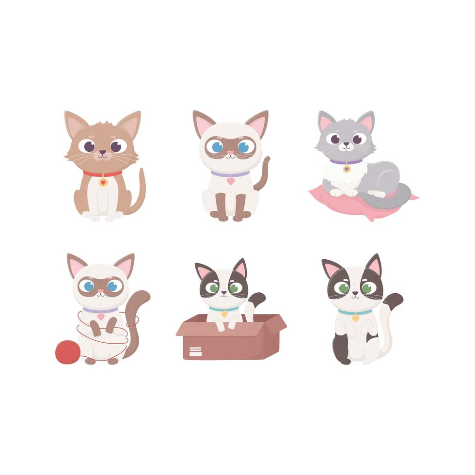 piccoli gatti mascotte diverse animali domestici adorabili, animali domestici vettore