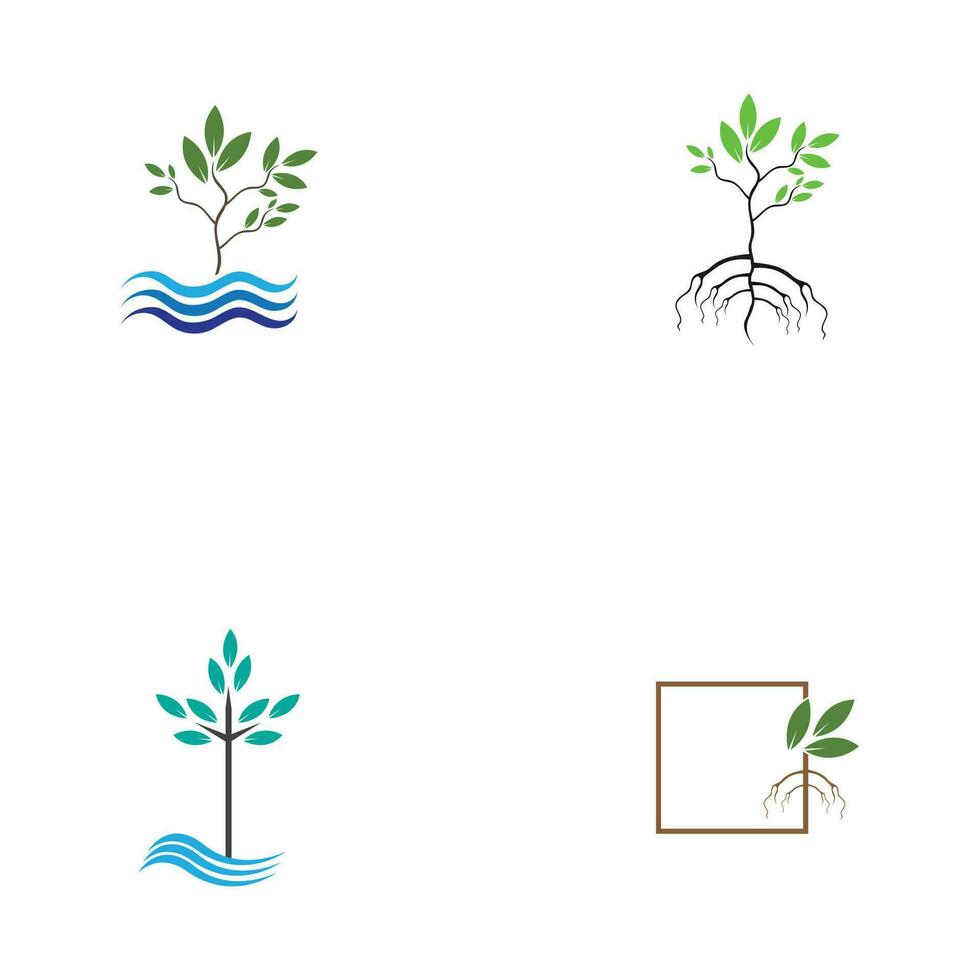 mangrovia logo simbolo vettore