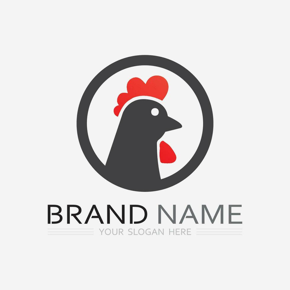 pollo logo Gallo e gallina logo per pollame agricoltura animale logo vettore illustrazione design