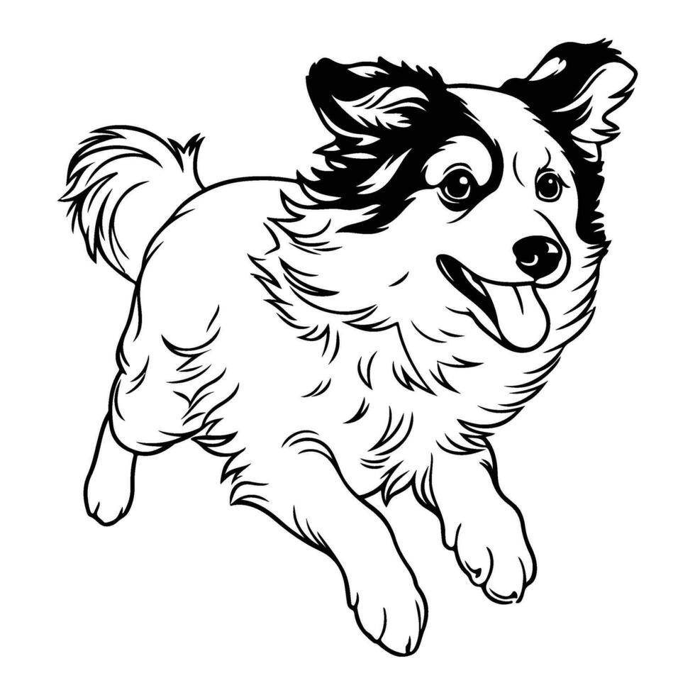 australiano pastore, mano disegnato cartone animato carattere, cane icona. vettore