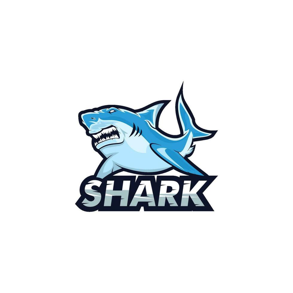 squalo logo vettore, pesce squalo vettore logo modello
