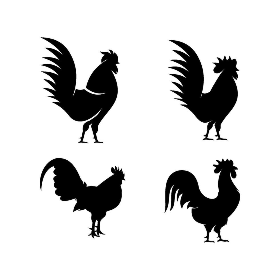 impostato Gallo logo icona design vettore modello