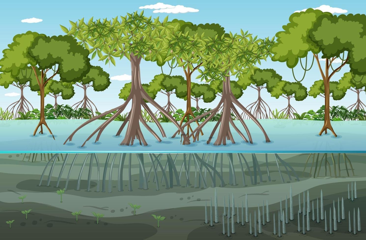 scena del paesaggio della foresta di mangrovie durante il giorno vettore