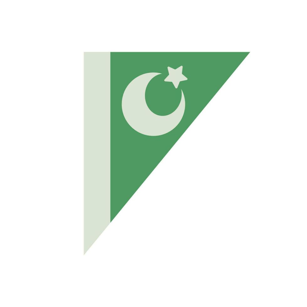 di forma triangolare pakistano bandiera icona. vettore. vettore