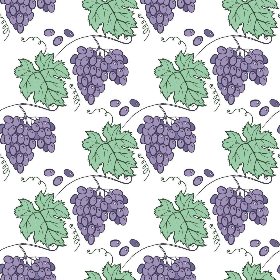 floreale uva vino senza soluzione di continuità modello. vettore mano disegnare cartone animato stile