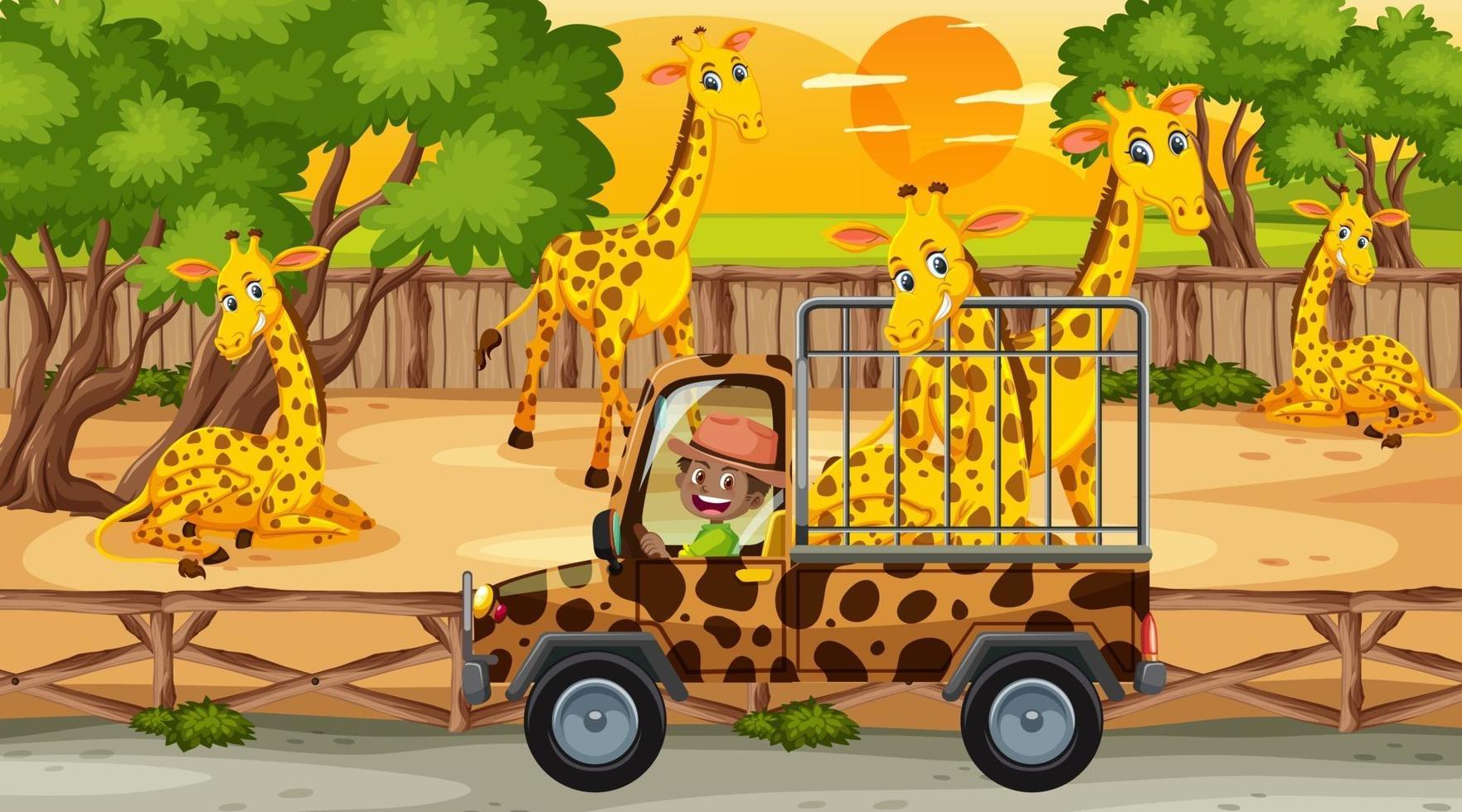 safari al tramonto con bambini che guardano un gruppo di giraffe vettore