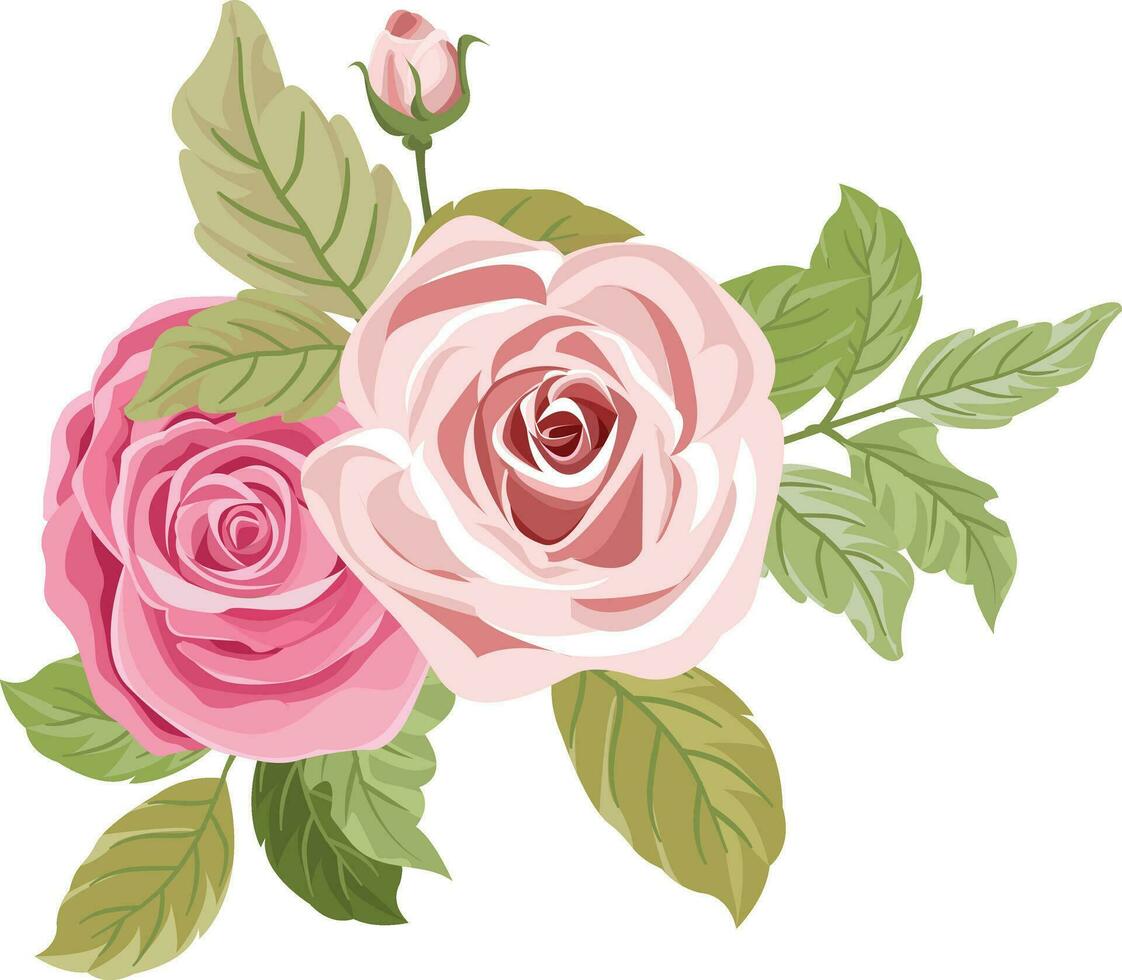 un' mazzo con bellissimo rosa Rose vettore