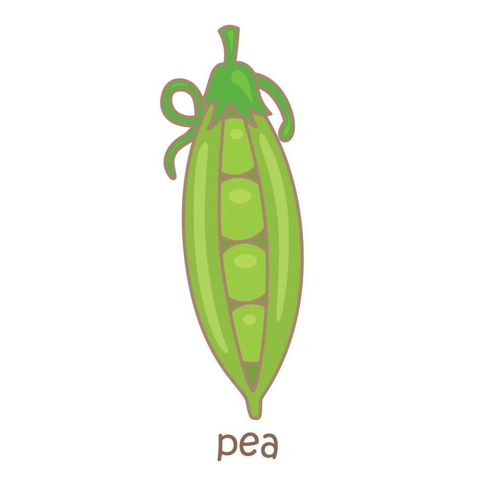 alfabeto p per pisello vocabolario scuola lezione cartone animato illustrazione vettore clipart etichetta