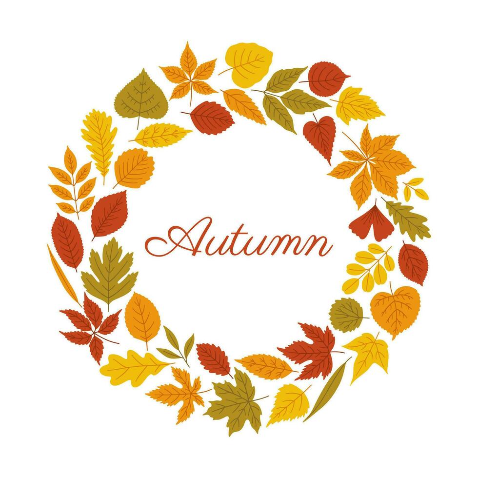 autunno il giro ghirlanda nel caldo colori, bianca sfondo. vettore