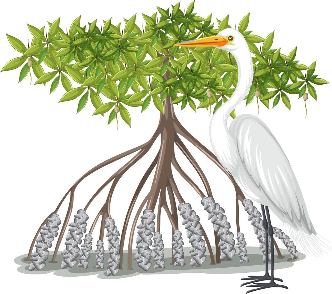 airone bianco maggiore con albero di mangrovie in stile cartone animato su sfondo bianco vettore