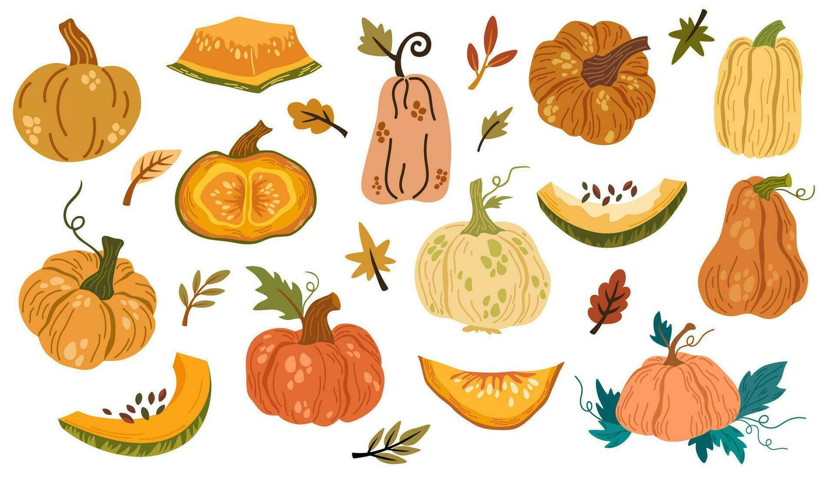 zucche collezione. diverso tipi di zucca, pezzi, semi, le foglie. autunno, raccolto, fresco la verdura, Halloween. vettore mano disegnare illustrazione.