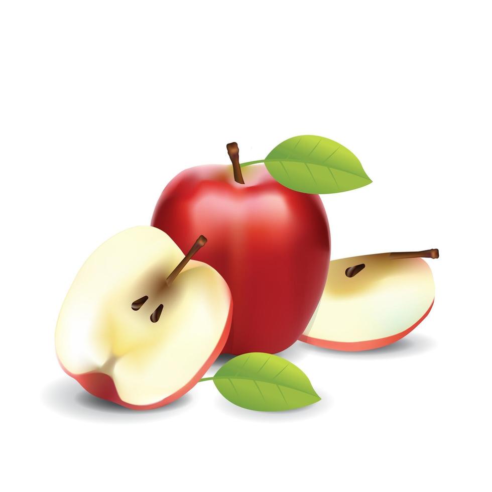 mela rossa sana frutta fresca biologica estate isolata illustrazione vettoriale