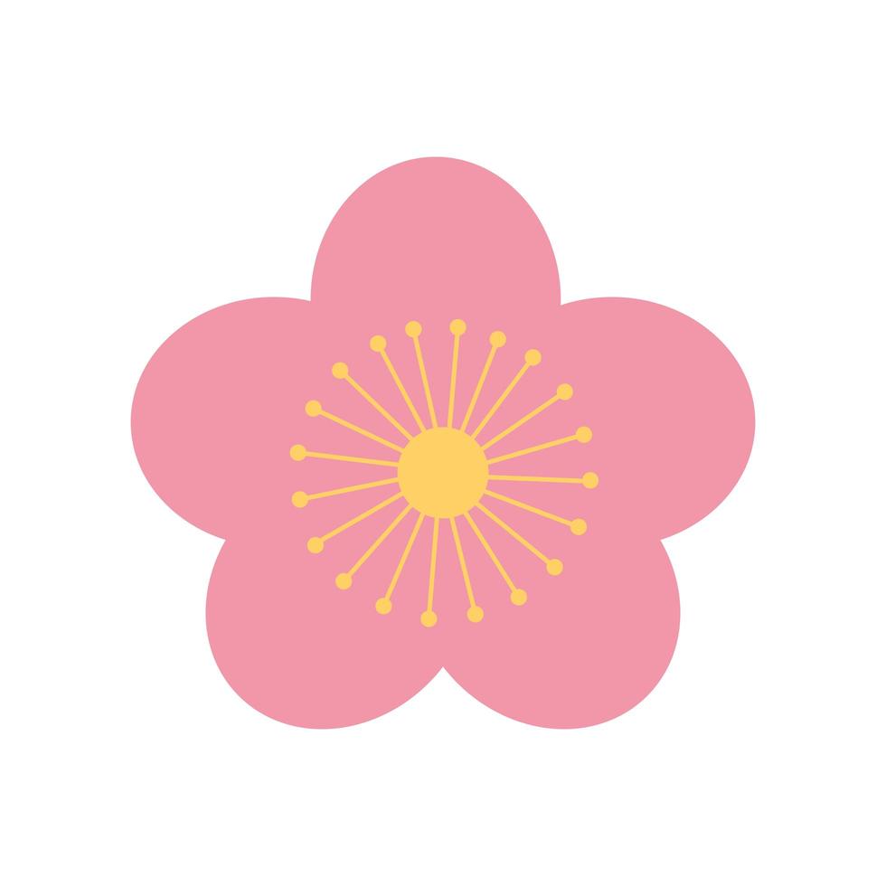 sakura fiore natura elemento orientale decorazione colore design vettore
