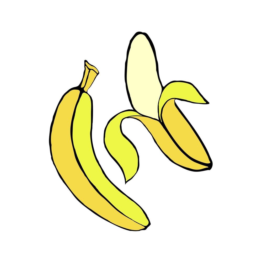 due banane isolate su uno sfondo bianco, frutta tropicale, dolce banana matura, illustrazione vettoriale in stile scarabocchio, disegno a mano