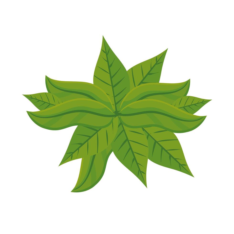 foglie di piante naturali vettore