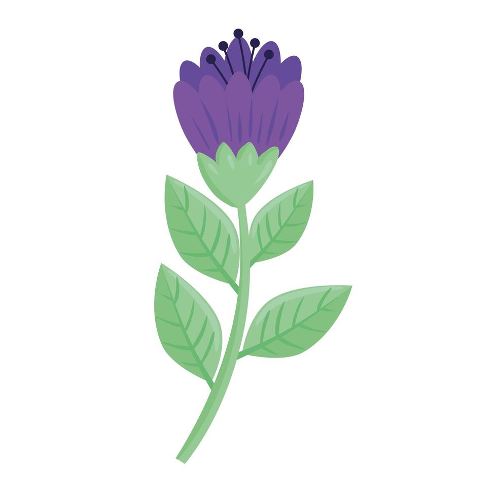 icona della stagione primaverile di fiori e foglie di colore viola di bellezza vettore