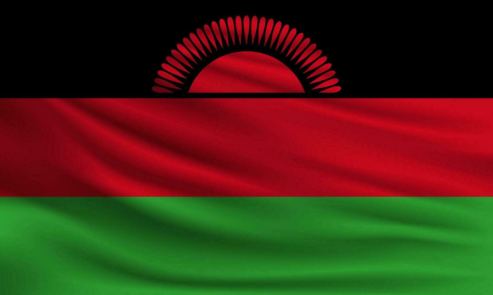 vettore bandiera di malawi